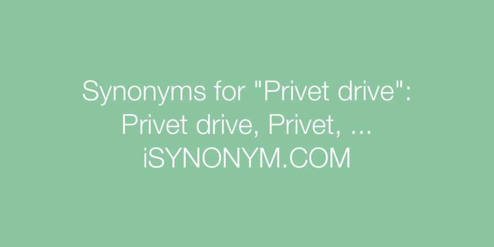 Synonyms Privet drive