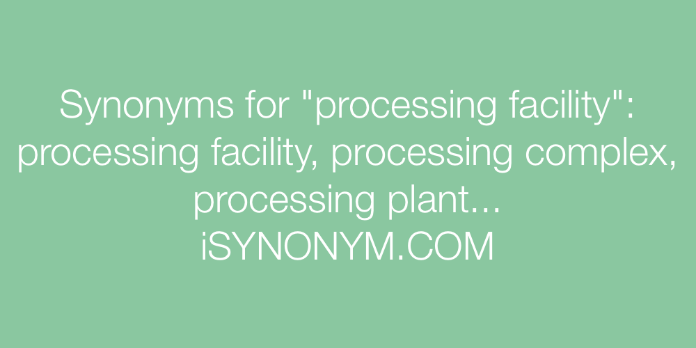 Synonyms processing facility