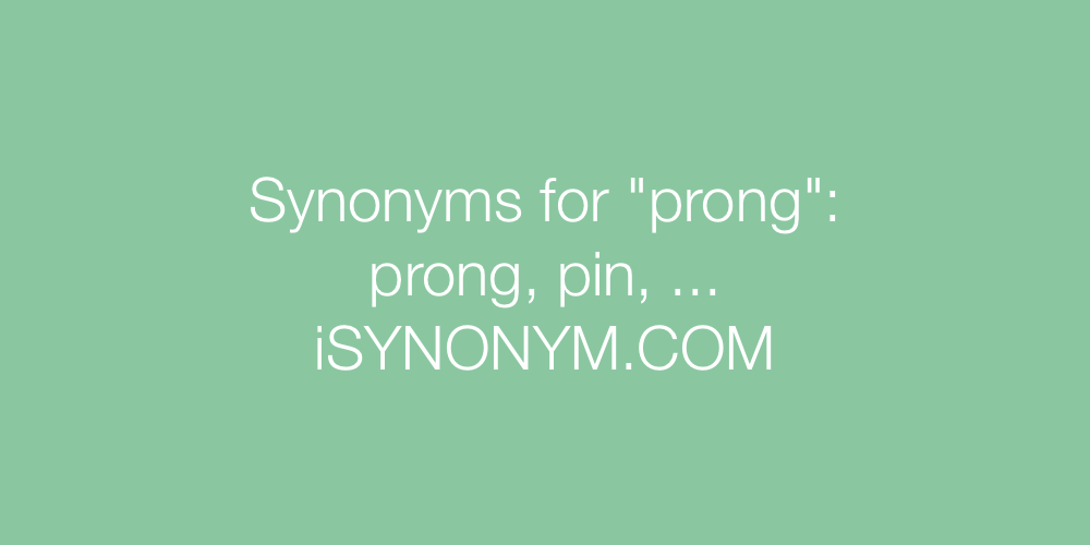Synonyms prong