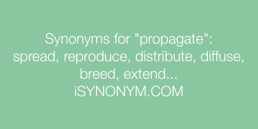 Synonyms propagate