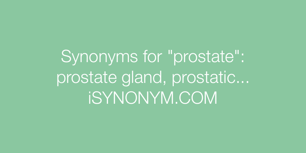 Synonyms prostate