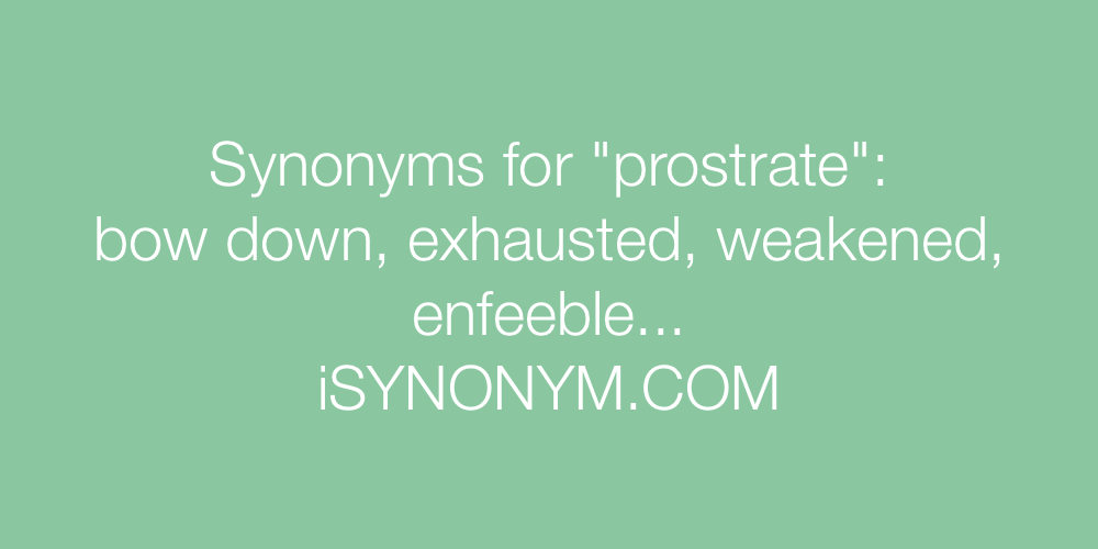 Synonyms prostrate