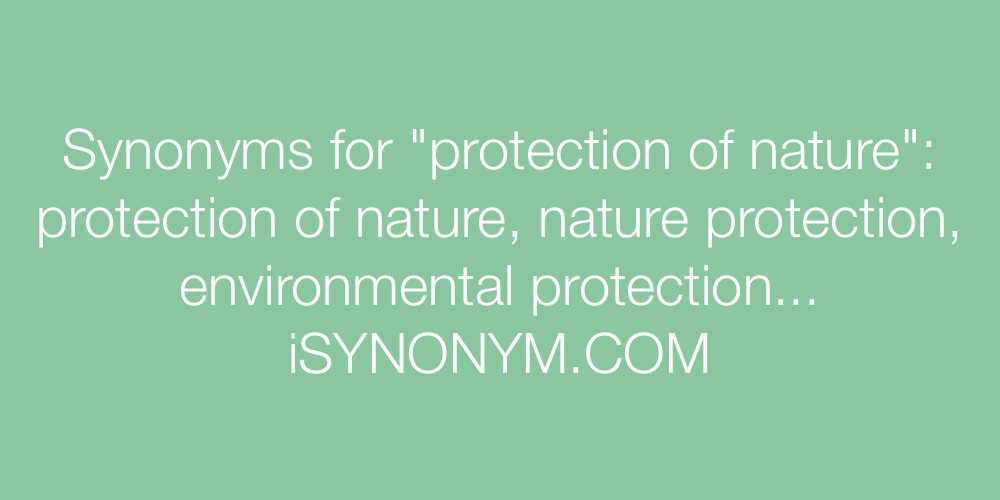 Synonyms protection of nature
