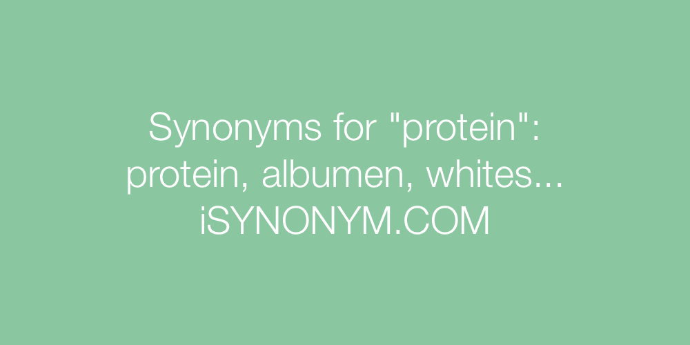 Synonyms protein