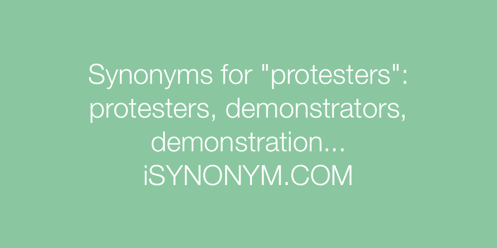 Synonyms protesters