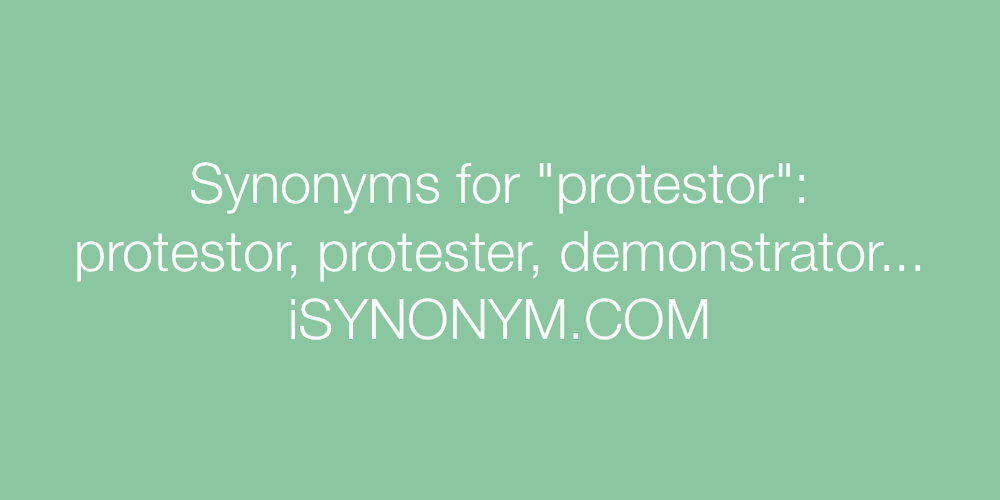 Synonyms protestor