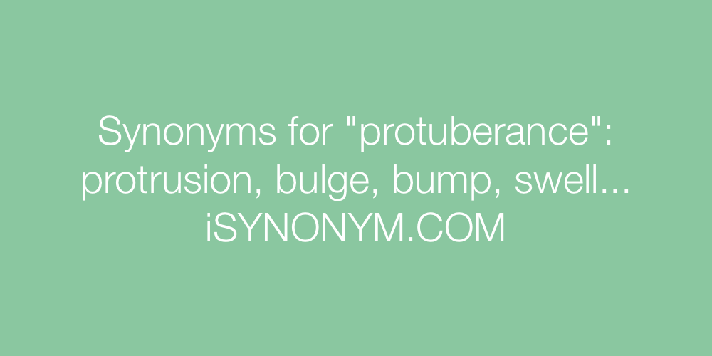Synonyms protuberance