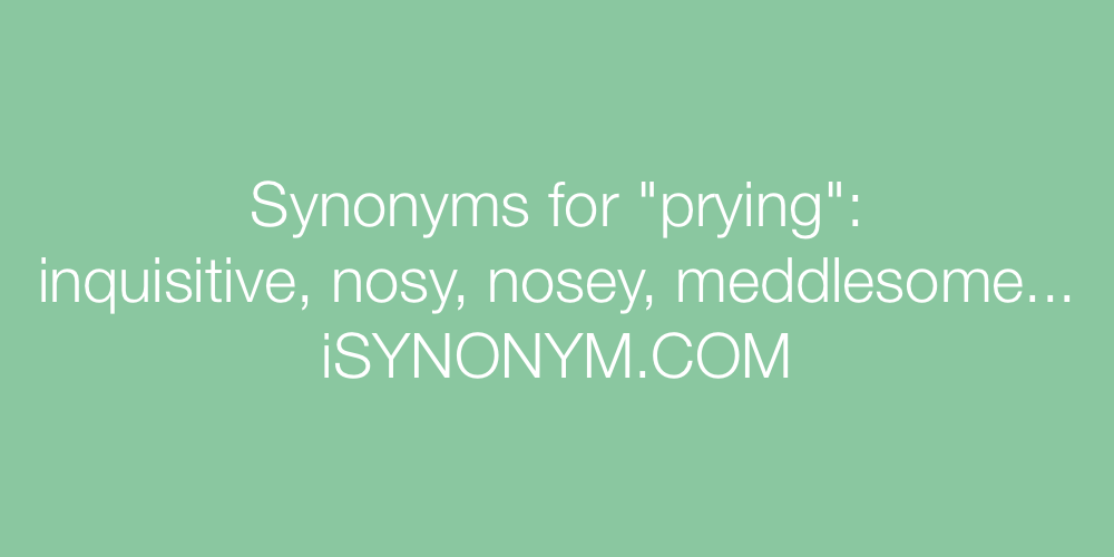 Synonyms prying