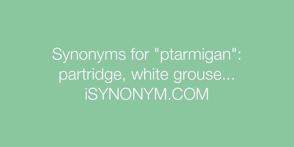 Synonyms ptarmigan