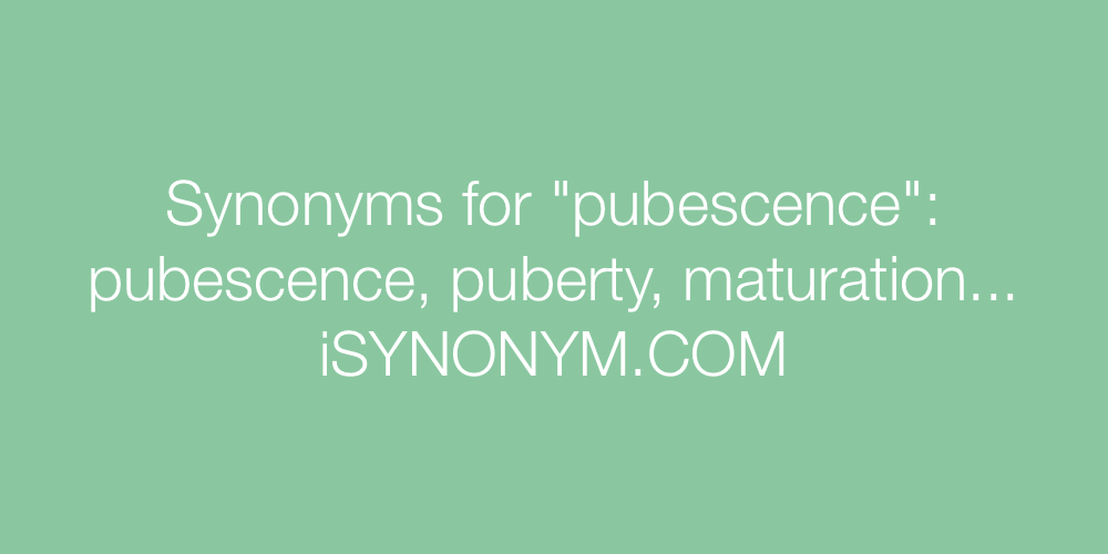 Synonyms pubescence