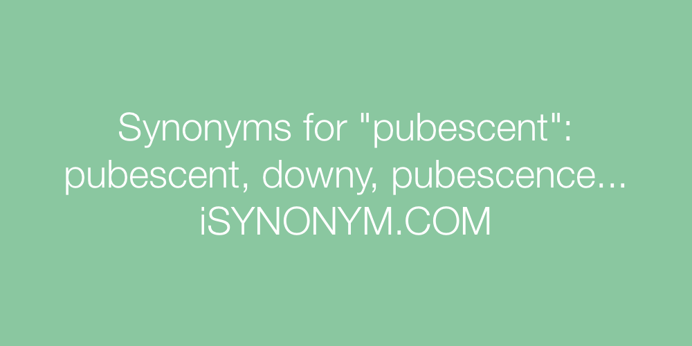 Synonyms pubescent