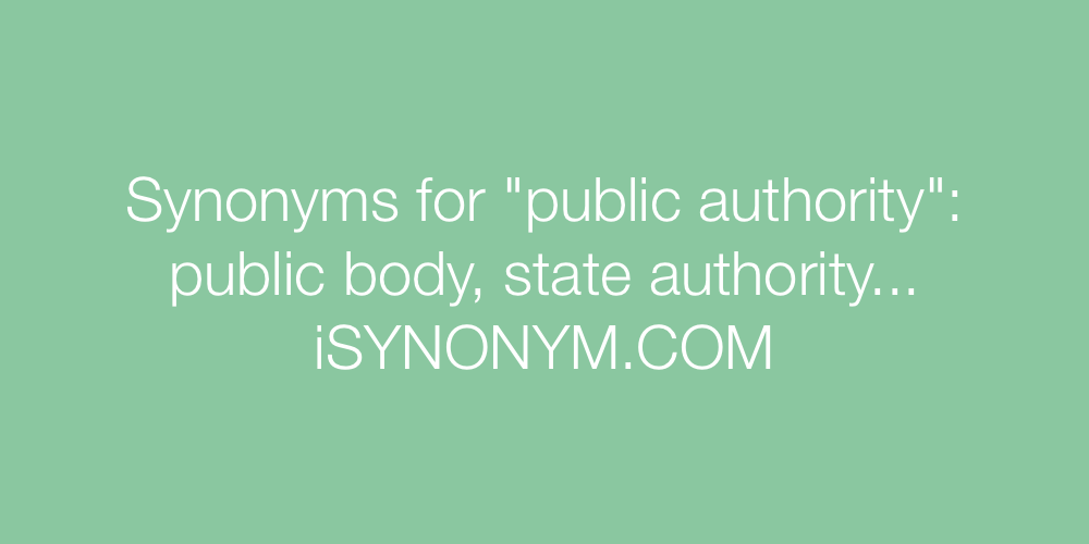 Synonyms public authority