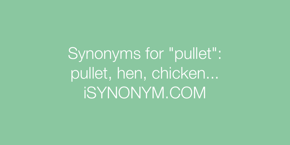 Synonyms pullet