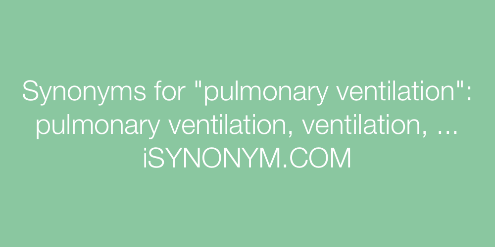Synonyms pulmonary ventilation