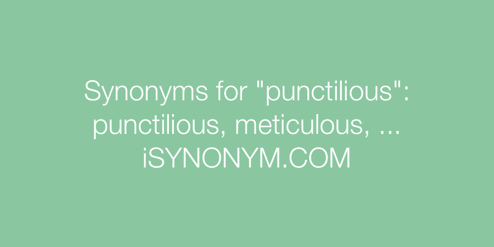 Synonyms punctilious