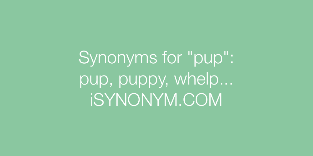 Synonyms pup