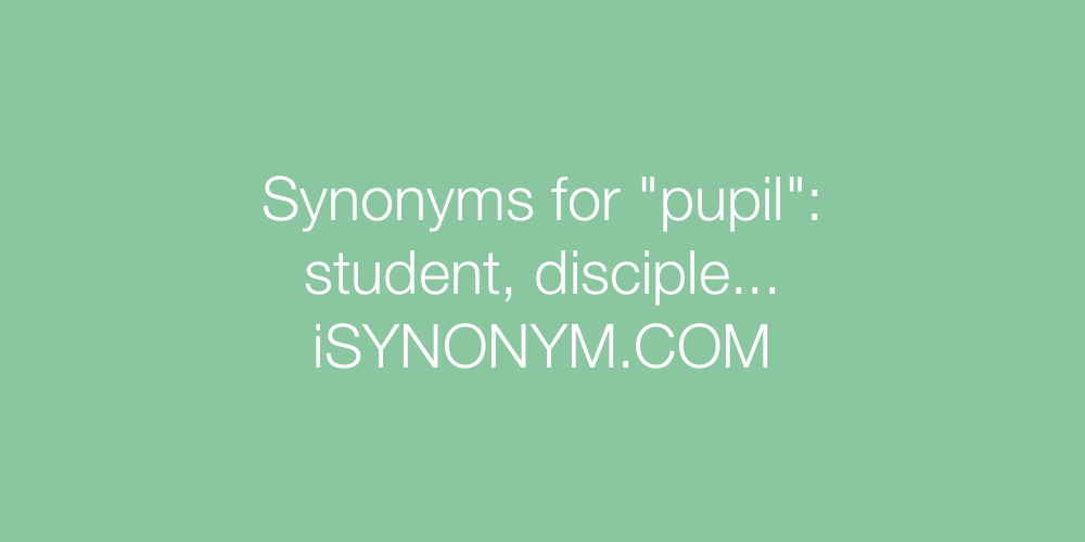 Synonyms pupil