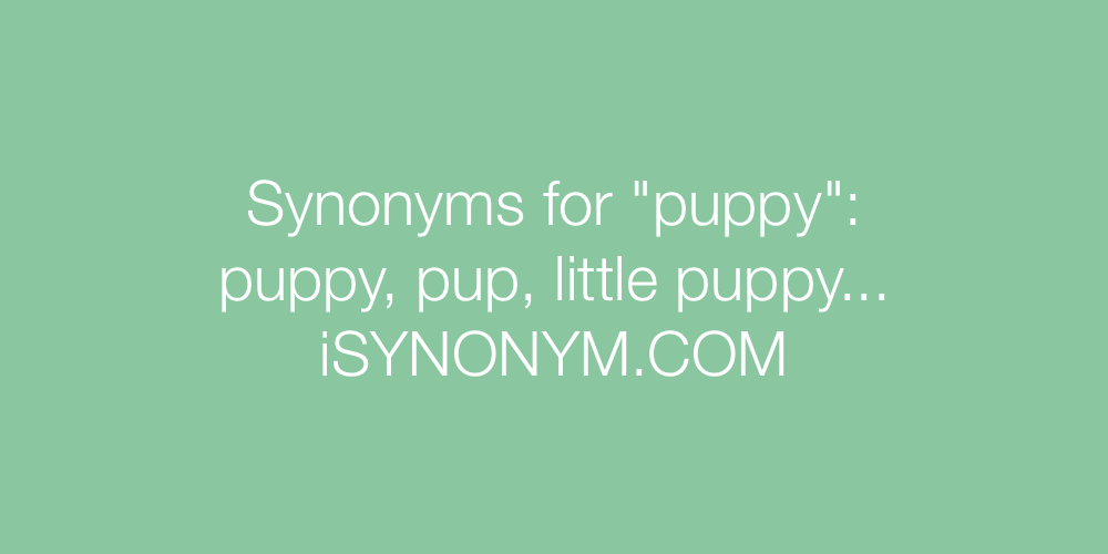 Synonyms puppy
