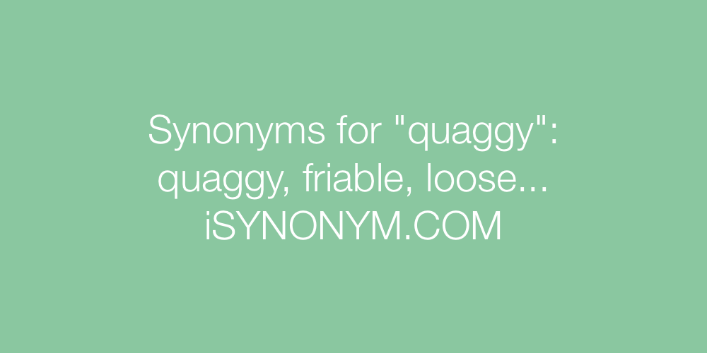 Synonyms quaggy