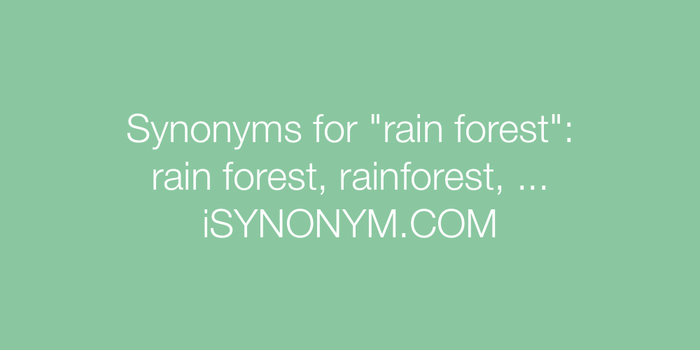 Synonyms rain forest