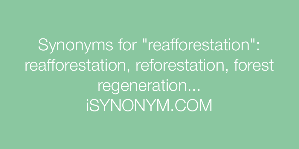 Synonyms reafforestation