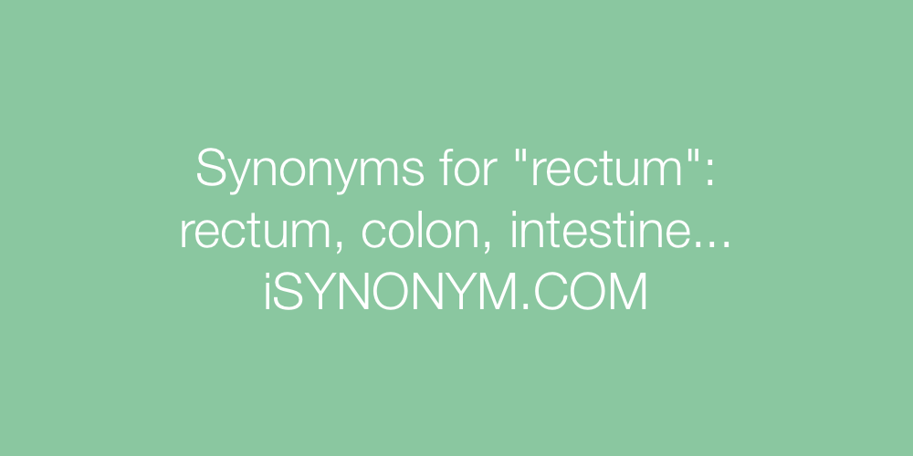 Synonyms rectum