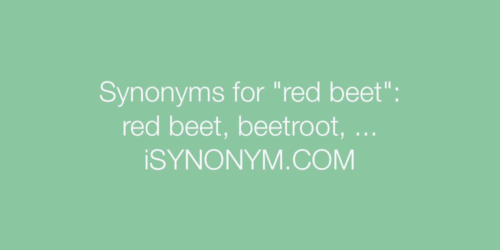 Synonyms red beet