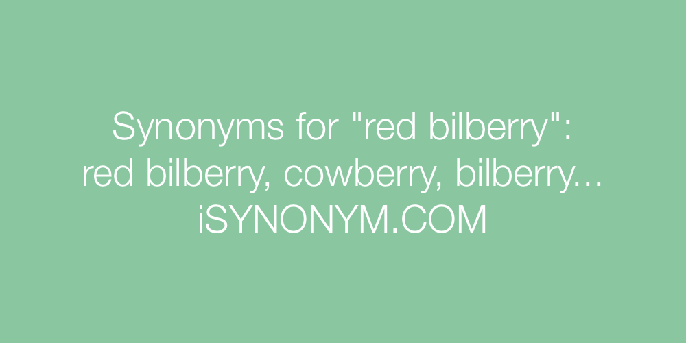 Synonyms red bilberry