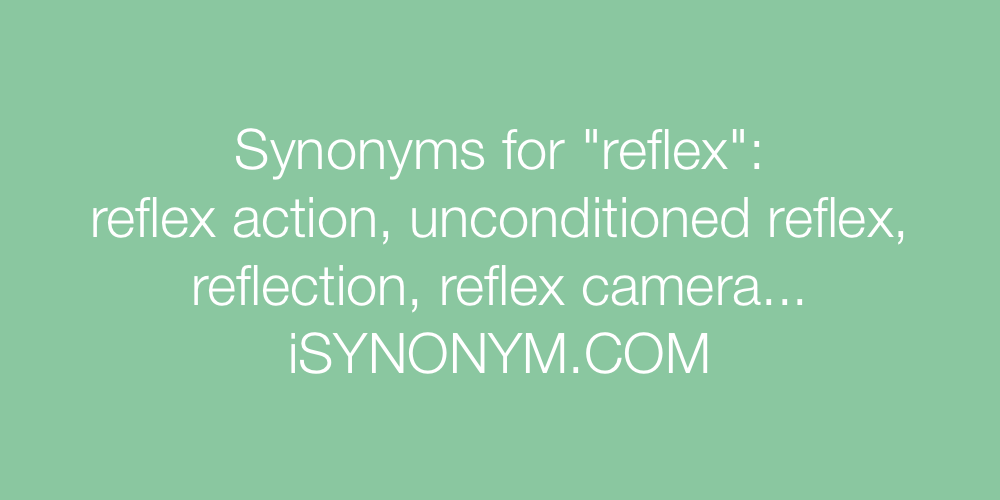 Synonyms reflex
