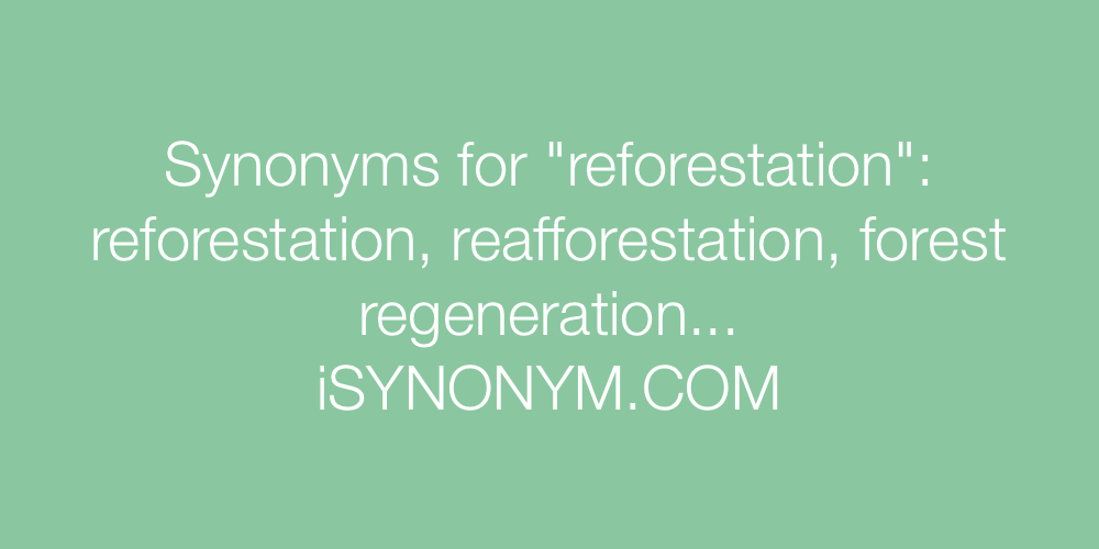 Synonyms reforestation