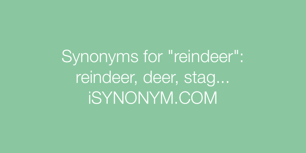 Synonyms reindeer