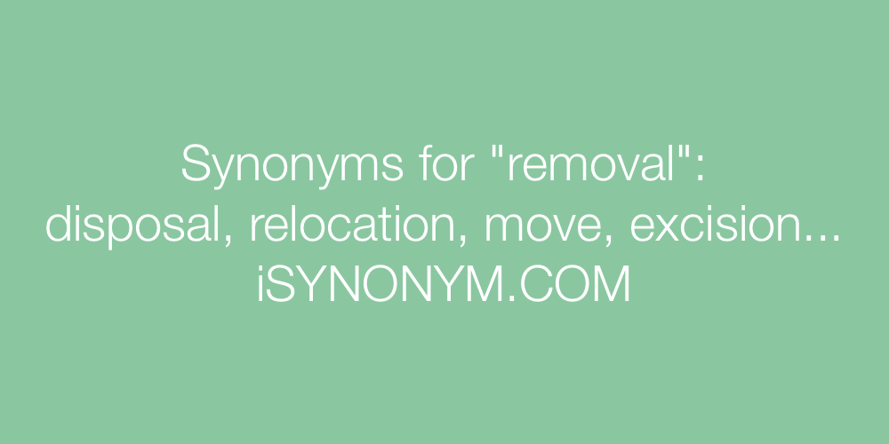 Synonyms removal