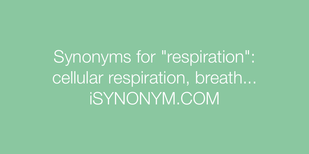 Synonyms respiration
