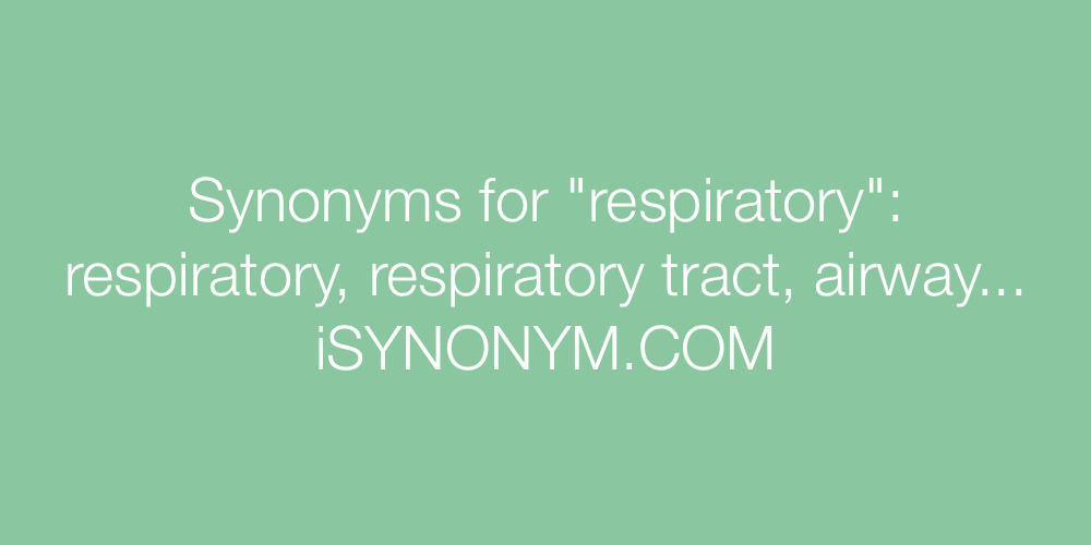 Synonyms respiratory