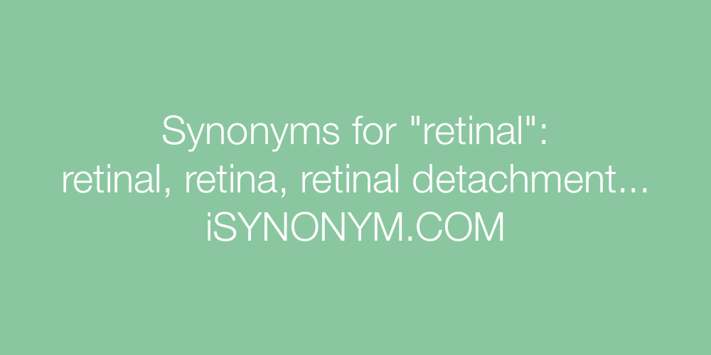 Synonyms retinal