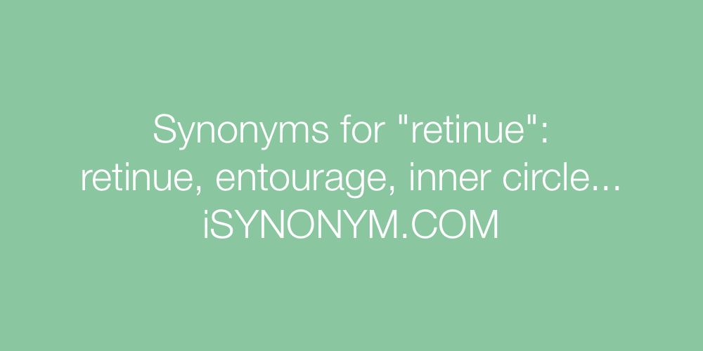 Synonyms retinue