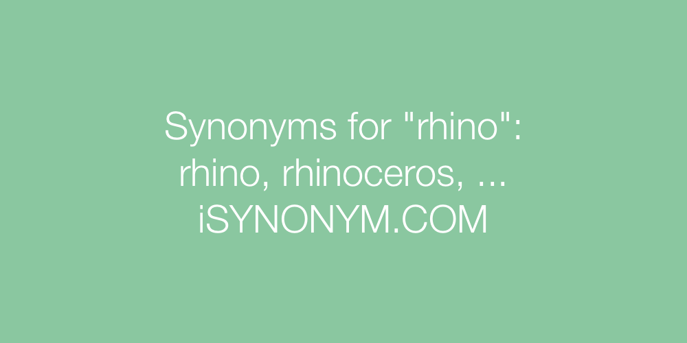 Synonyms rhino