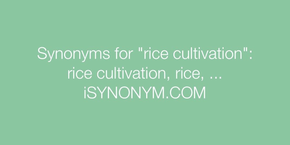Synonyms rice cultivation