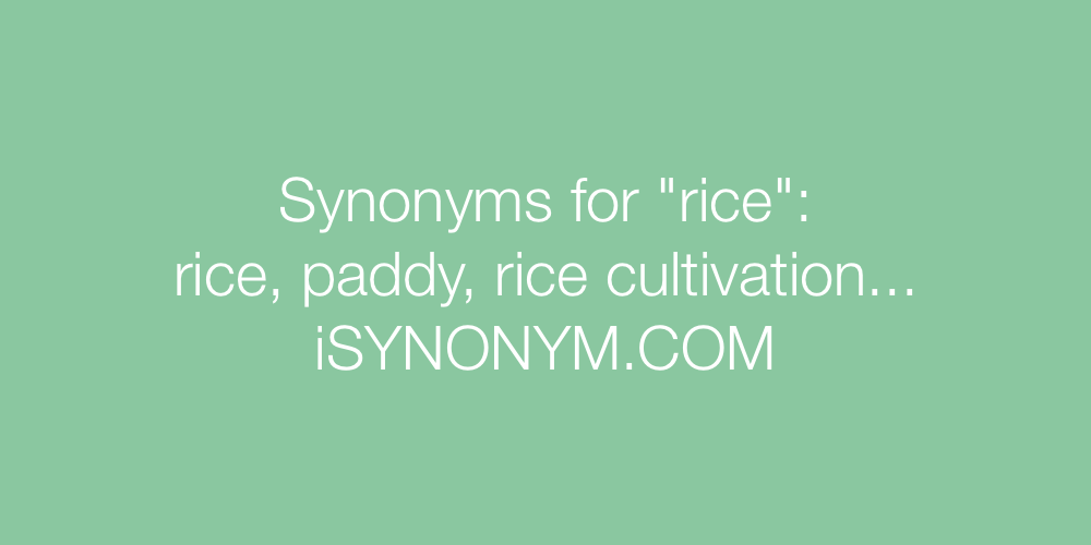 Synonyms rice