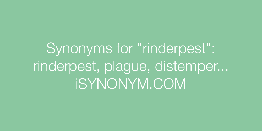 Synonyms rinderpest