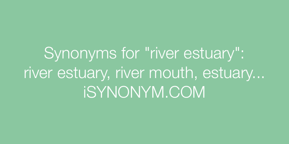 Synonyms river estuary