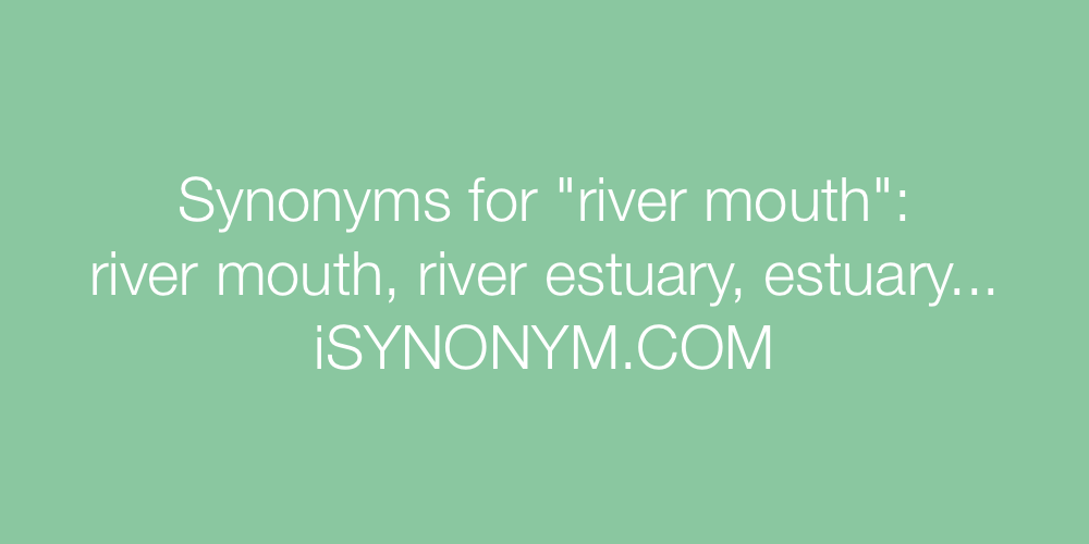 Synonyms river mouth