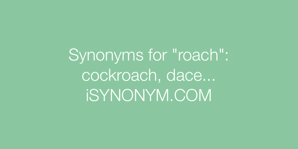 Synonyms roach