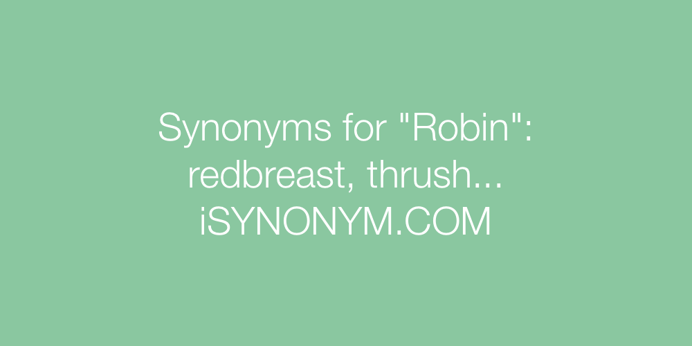 Synonyms Robin