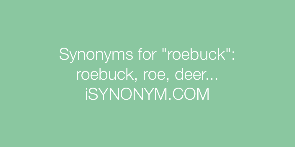 Synonyms roebuck