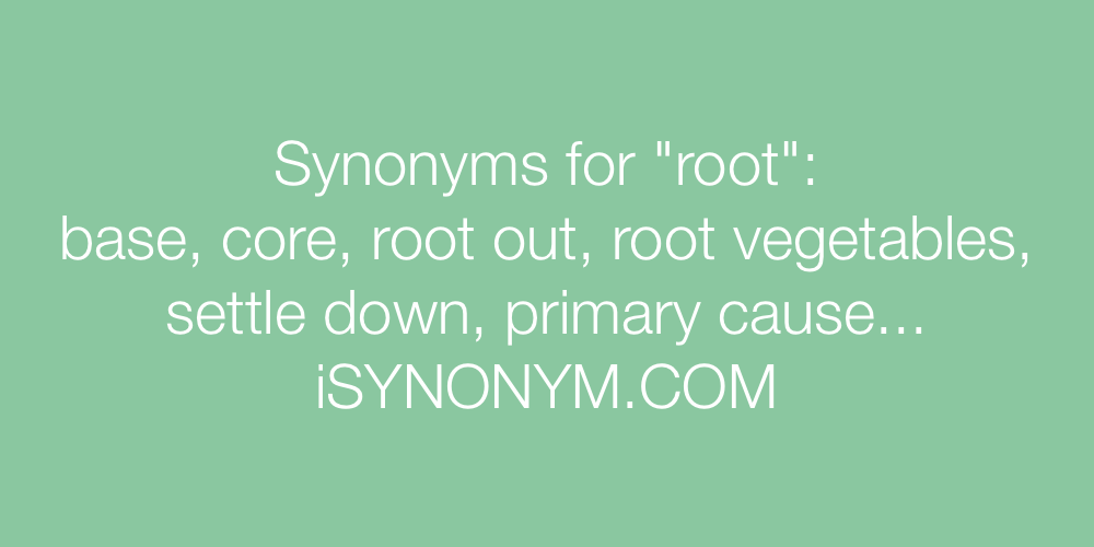 Synonyms root