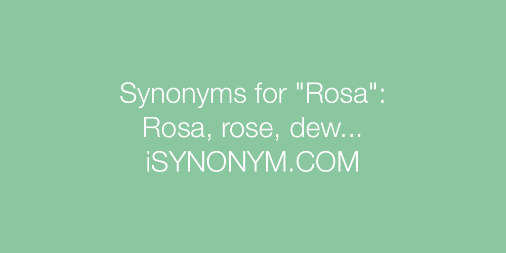 Synonyms Rosa
