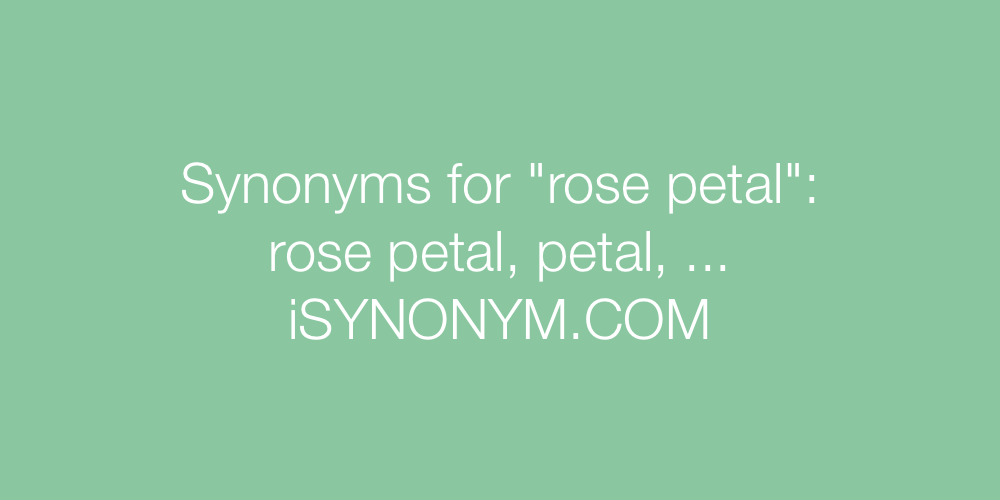 Synonyms rose petal