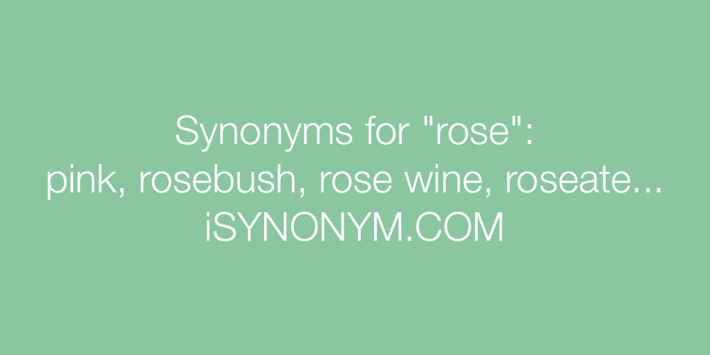 Synonyms rose