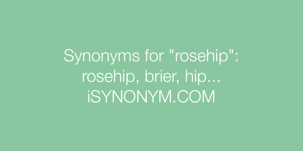 Synonyms rosehip